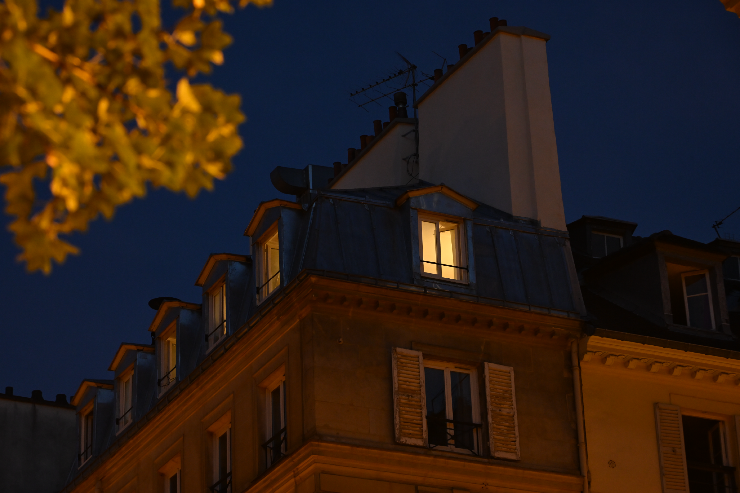 Apartment Window at Night | Nikon Cameras, Lenses & Accessories