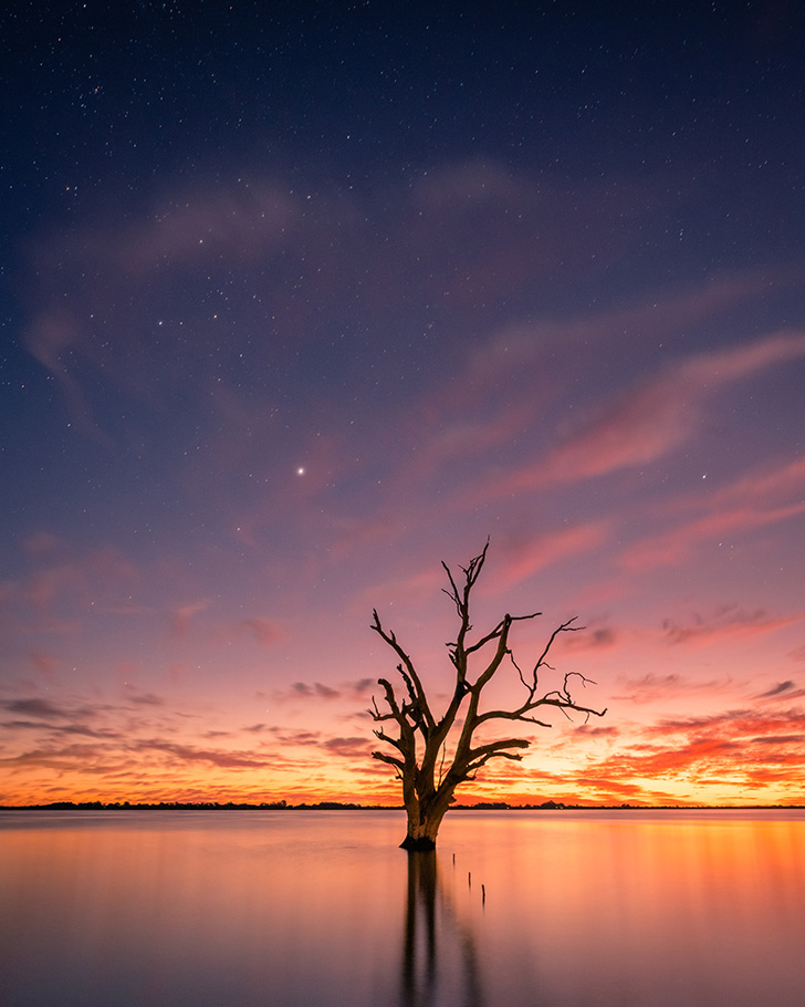 Dead eucalyptus tree in a lake against sunset sky photographed by Nathan Godwin | Nikon Cameras, Lenses & Accessories