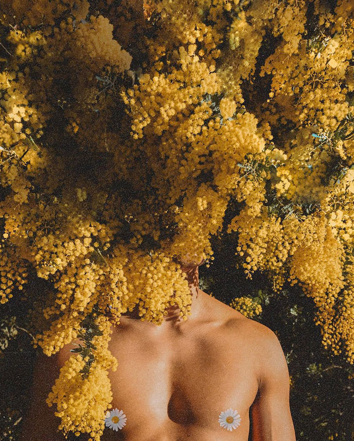 Man beneath wattle flowers by Anton Kollo | Nikon Cameras, Lenses & Accessories