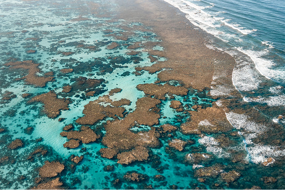 Ningaloo Reef by Jake Wilton| Nikon Cameras, Lenses & Accessories